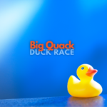 Enter Ducks in the Race