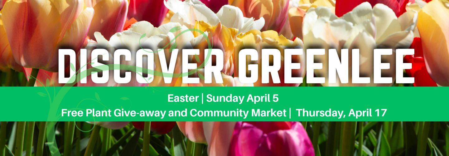 Greenlee Arizona Tourism